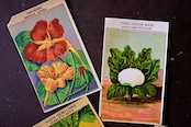 20s フランス 4set 膨満な花々と野菜たち 種子袋用ラベルa アンティーク