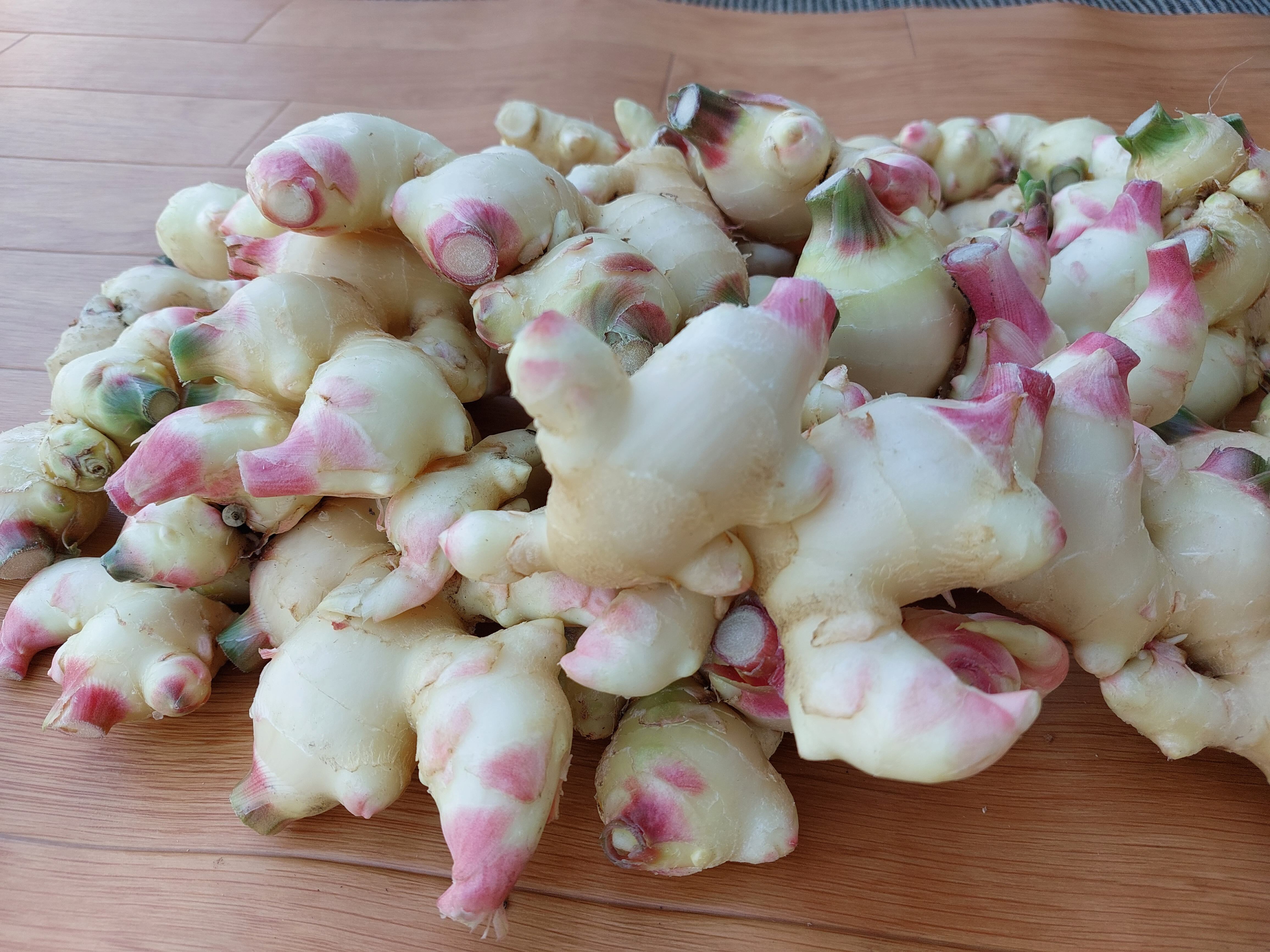 シャキシャキとした香りのいい生姜 5kg | 【公式】産地直送 もみじ