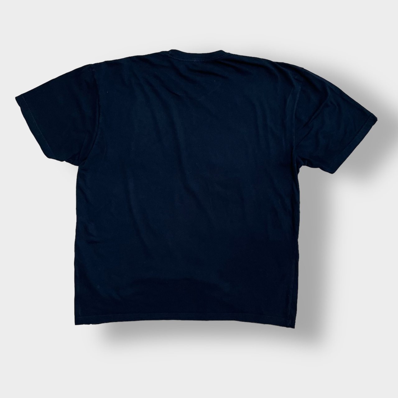 【EINSTEIN】アインシュタイン Tシャツ フォトプリント 偉人 人物 ビッグプリント XL ビッグサイズ 黒t 半袖 夏物 us古着