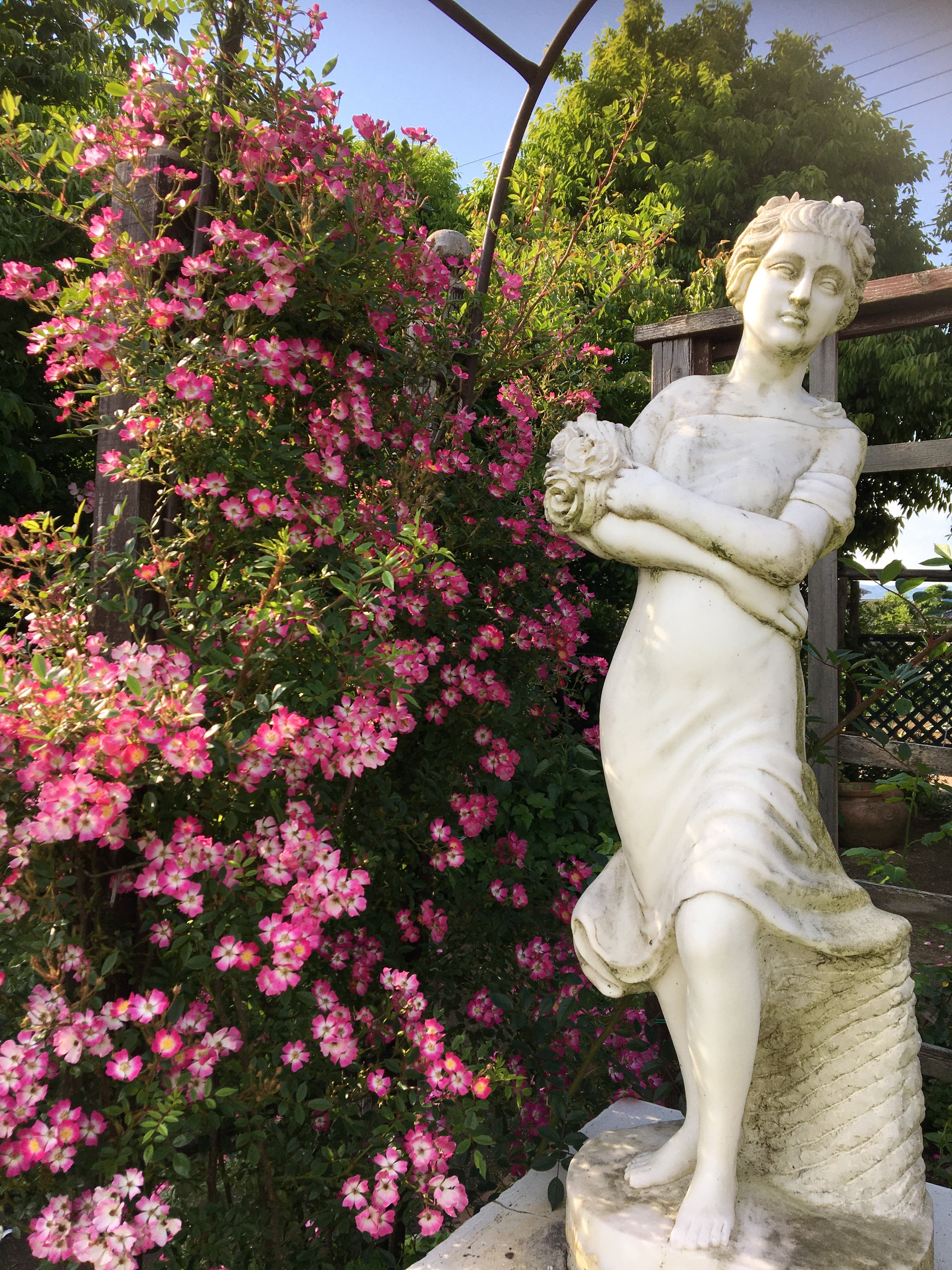 お店のご案内 | ROSE&PLANTS 458