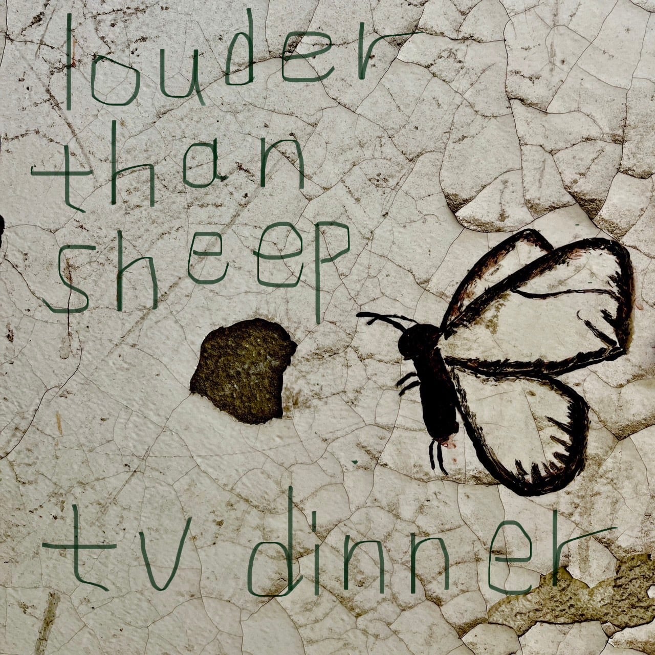 tv dinner「louder than sheep」