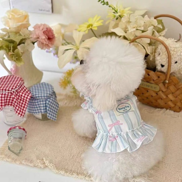 stripe ribbon frill blouse