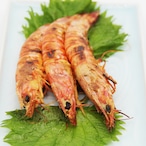 車海老の味噌漬け 1kg 36～52尾  【一級品の車海老】のみを素材にした高鮮度車えびの味噌漬