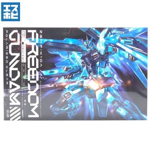 HG 1/144 フリーダムガンダム ポラライズドクリア