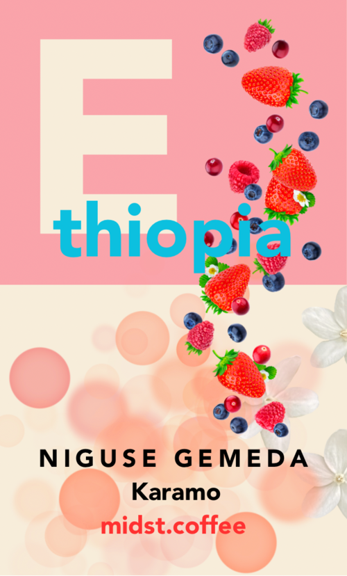 エチオピア ニグセ・ゲメダ カラモ　ナチュラル　100g 浅煎り