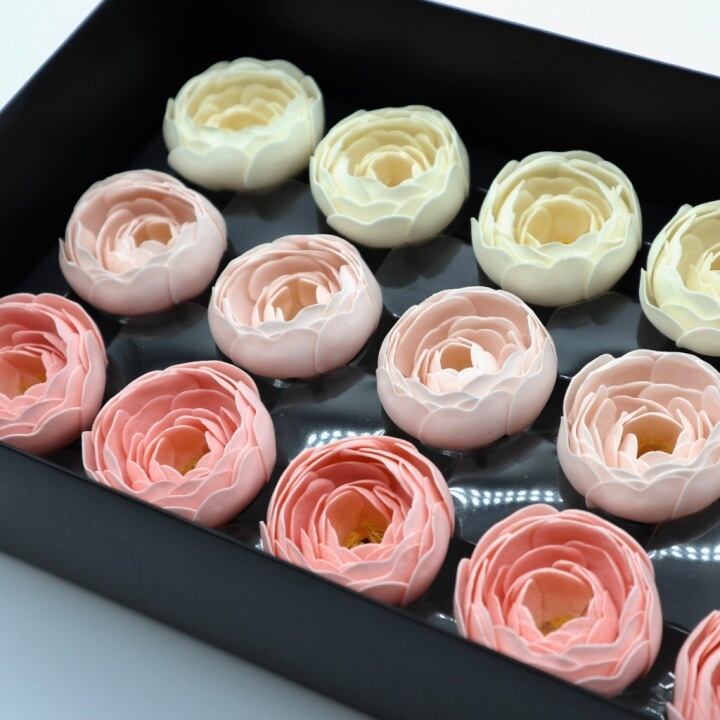 ラナンキュラスN-MIX2ピーチ,アイボリー(15輪入り)