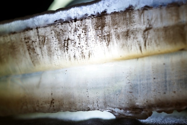 スペイン産バイカラーセレナイト Selenite  1077