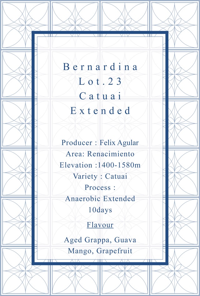 [コンペティションロット]　Bernardina lot.23 Catuai Extended Anaerobic