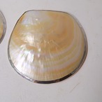 シルバーなふちのシェル