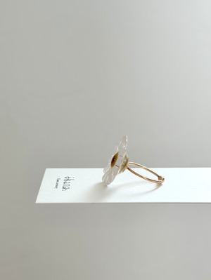 real flower ring「marguerite white 」【1点限定】