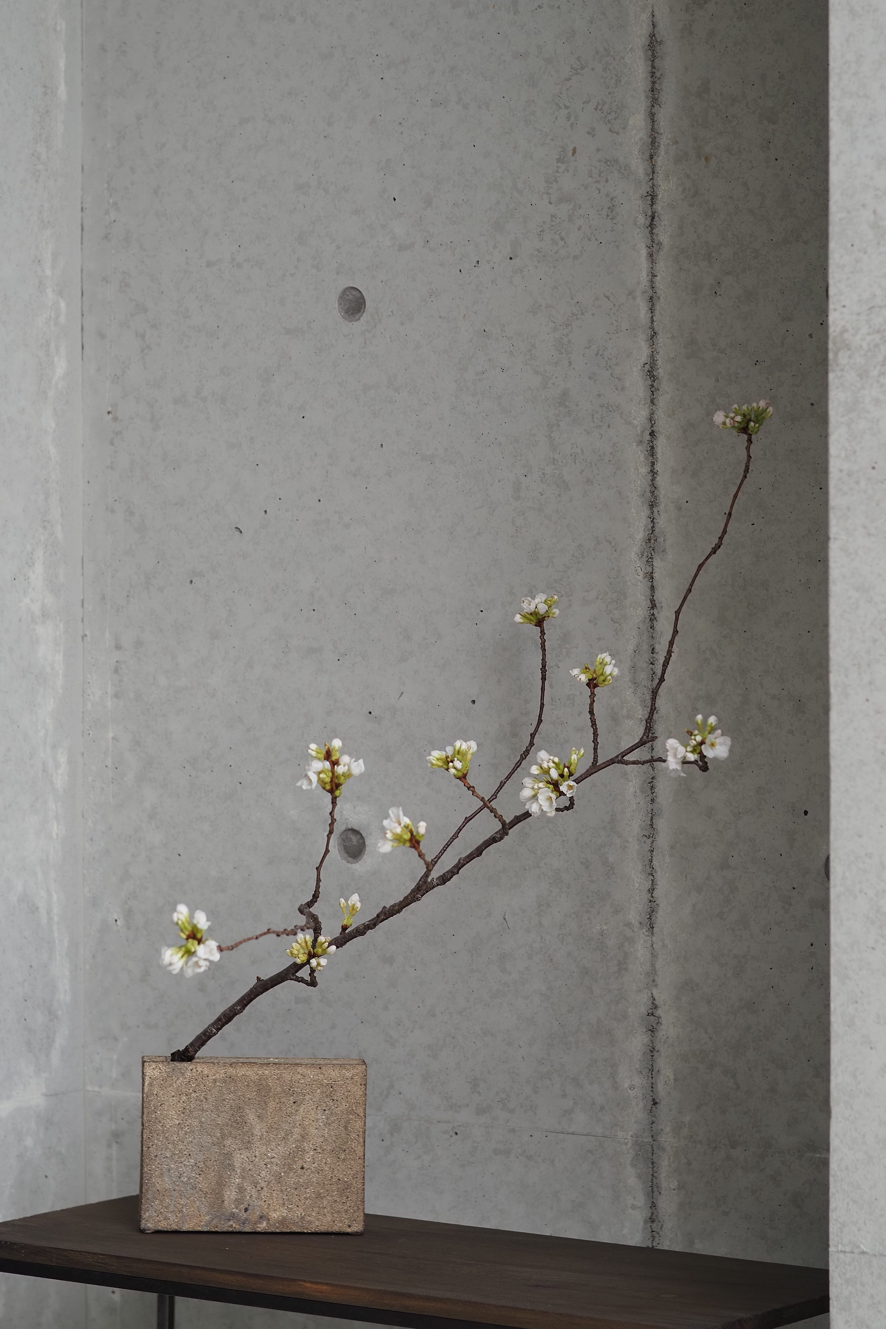 村上躍　花器　白灰化粧花器 村上 躍 82. 白灰化粧花器 | 陶屋なづな