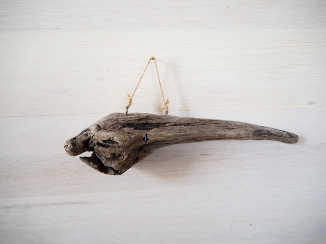 Drift Wood−2