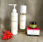 C 　ファセラ冬　3アイテムラージキット (クレンジング＋ローション+スイス製クリーム)