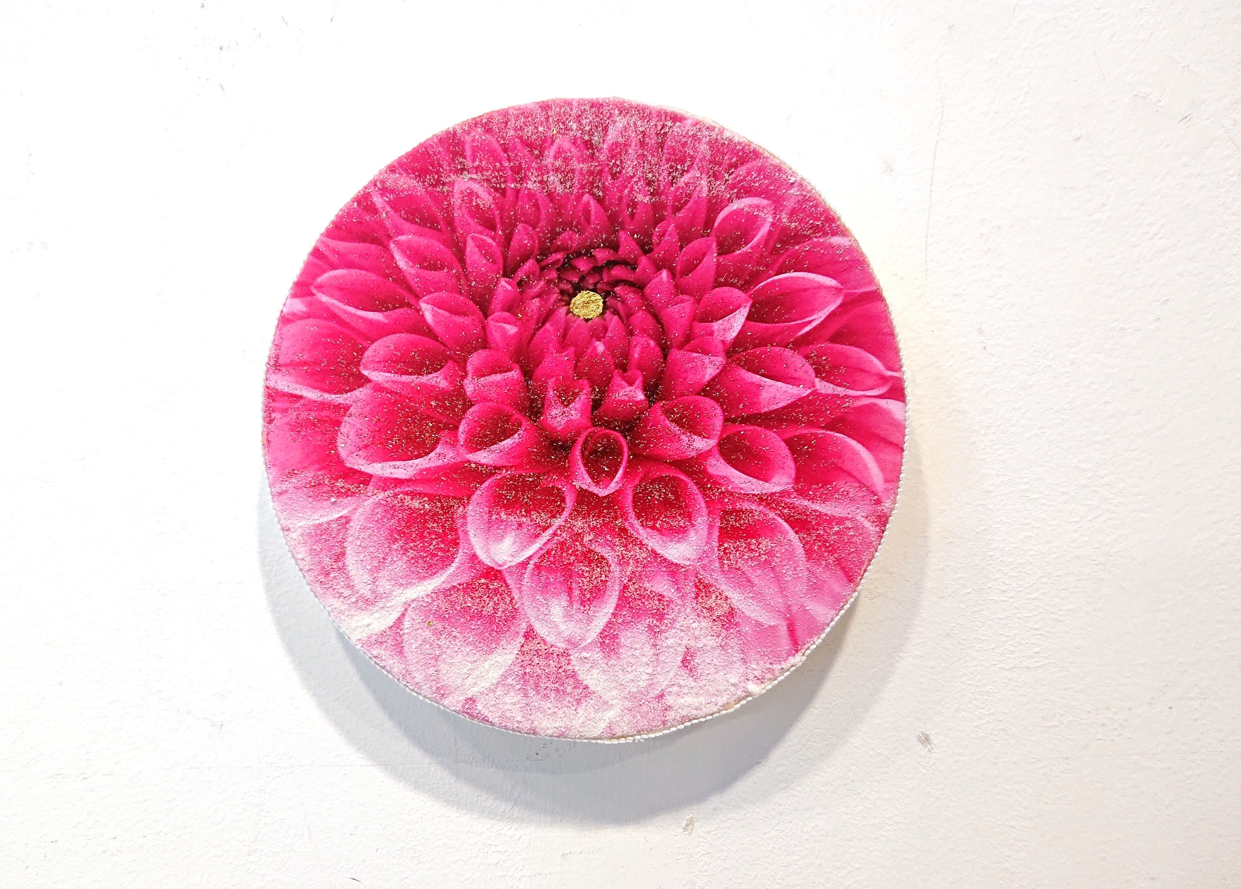 光の箱庭―ダリア  (2022)  古川 和美 / Furukawa Kazumi