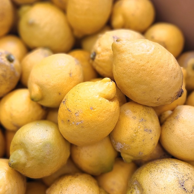 【季節限定】瀬戸田の無農薬レモン (1kg)