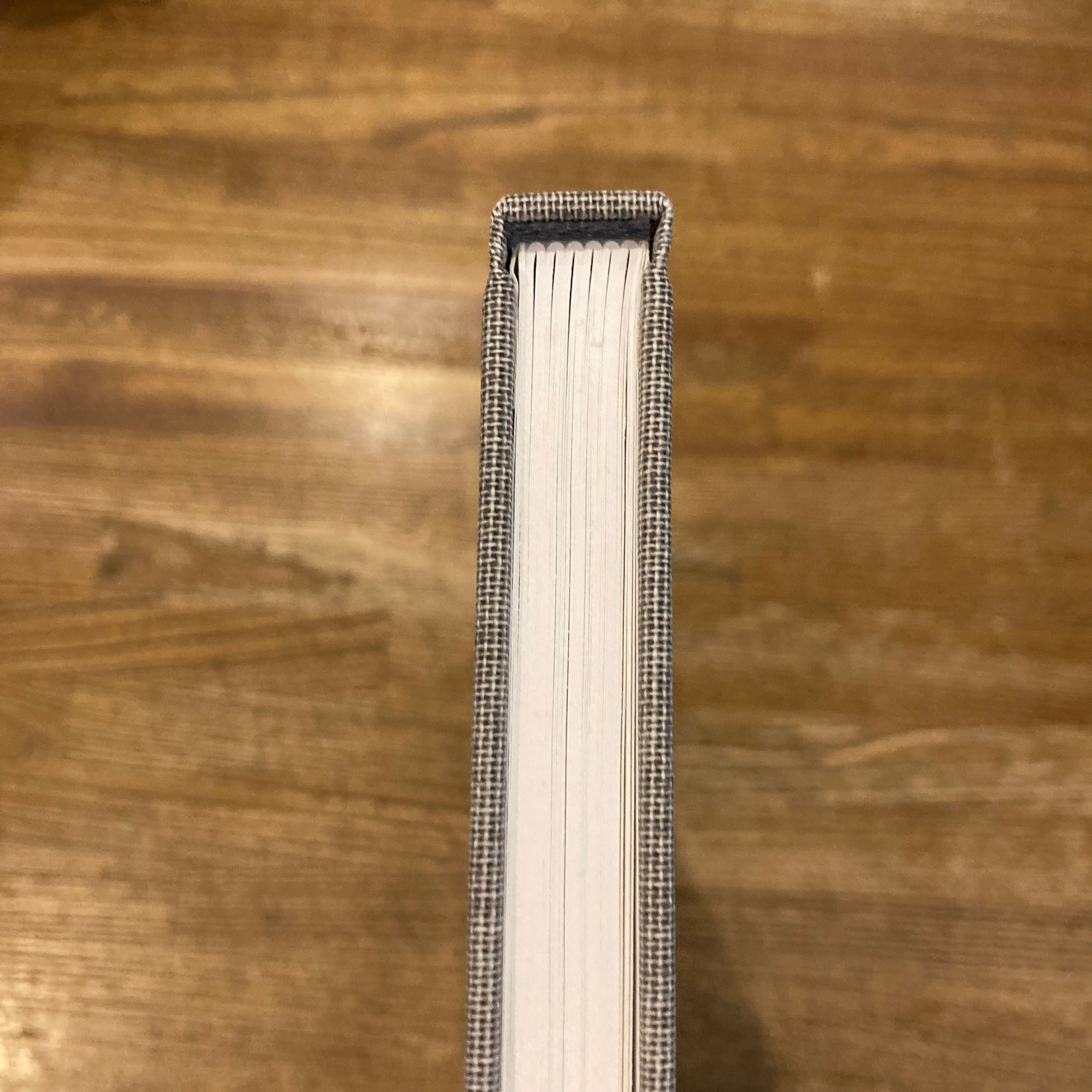 AUGUST / Collier Schorr | 百年