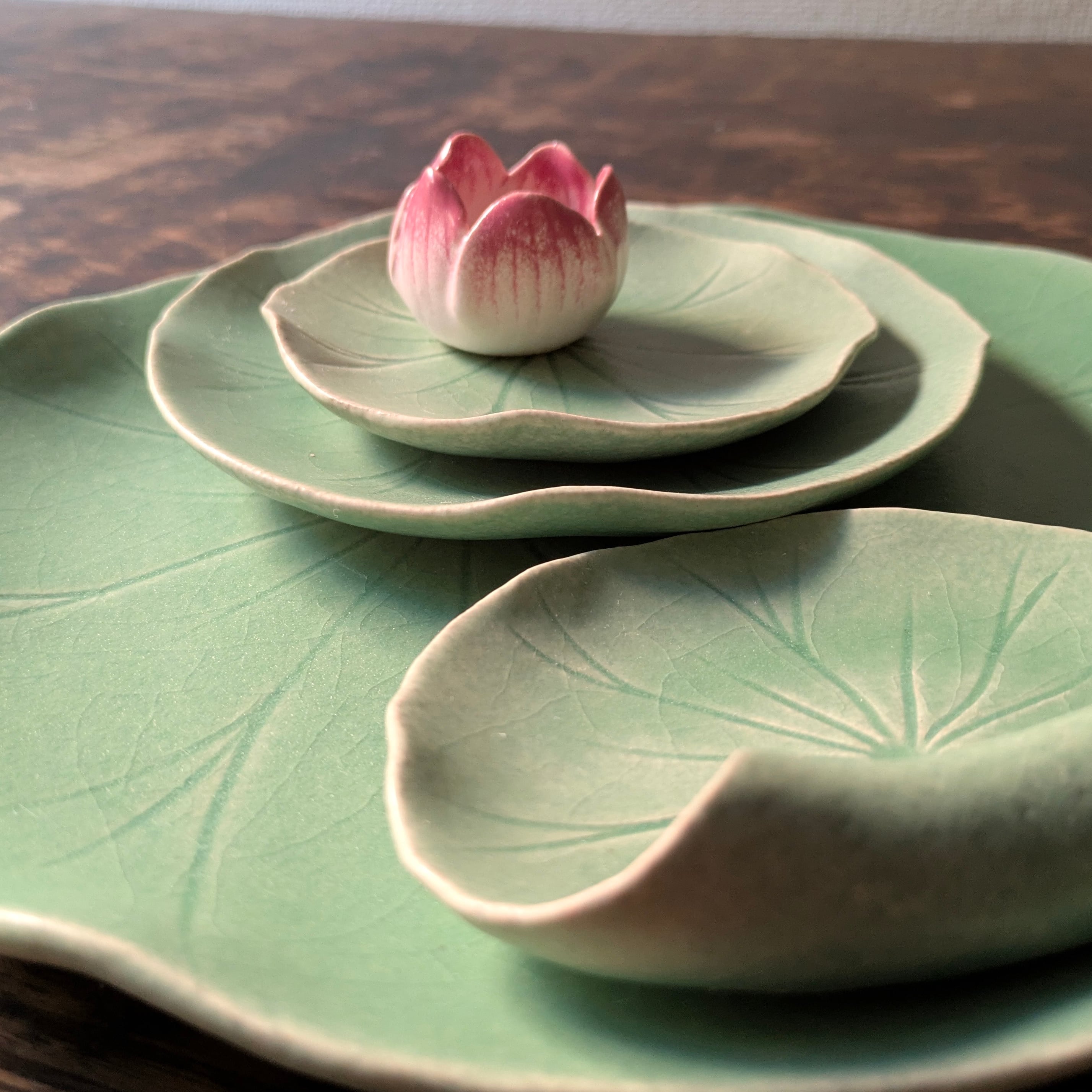 25夏】Lotus 蓮の葉取皿 (幅 16 cm) | TSUNE;田中恒子の器 オンライン