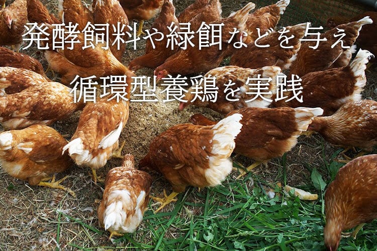 平飼い卵 30個 | 鶏の楽園♪コッコパラダイス