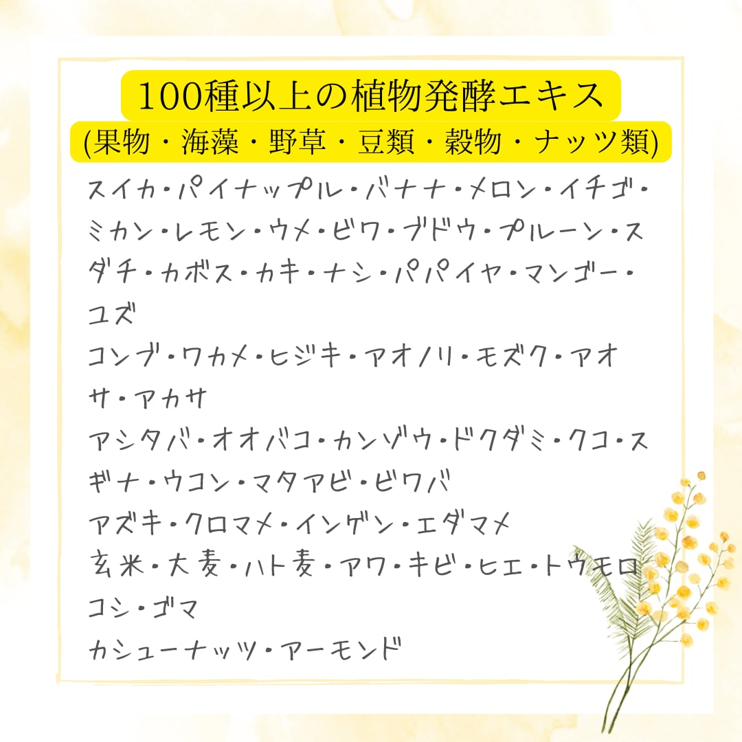 酵母・酵素】ストリームマグ「Stream Mag」（60包） | 〜shop of