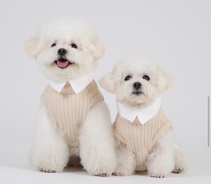 予約販売 Tidy Cape (Cream) S/XL 韓国犬服 montie
