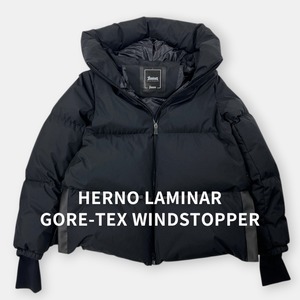 美品 HERNO LAMINAR 23AW ヘルノ ラミナー Aライン GORE-TEX ダウンジャケット PI155DL 黒 ブラック 38 S / J&NREUSE レディース アウター