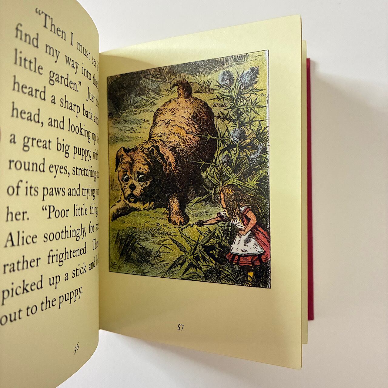 Alice's Adventures in Wonderland and Through the Looking-Glass