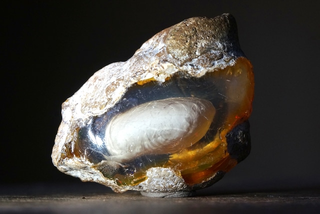 エッグ・イン・オパール Opal Egg 2