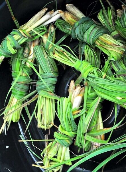 レモングラス(LEMONGLASS)の香り - オウロシカアロマオイル