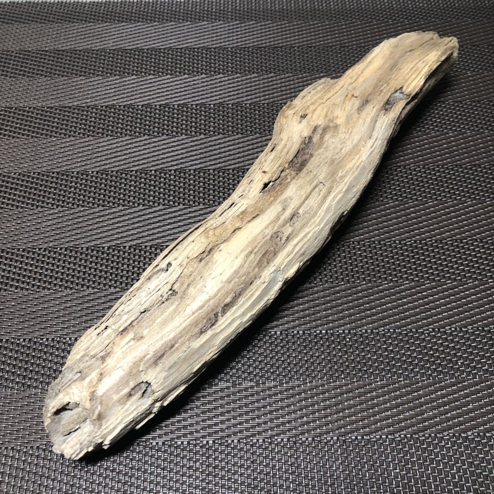 M-12】虫食いの穴のある流木 | 流木販売ドットコム｜純国産の天然流木