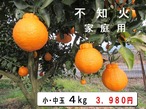 送料無料　不知火（デコポン）　家庭用4kg　小・中玉（期間限定１月２５日～２月末日）　愛媛県産