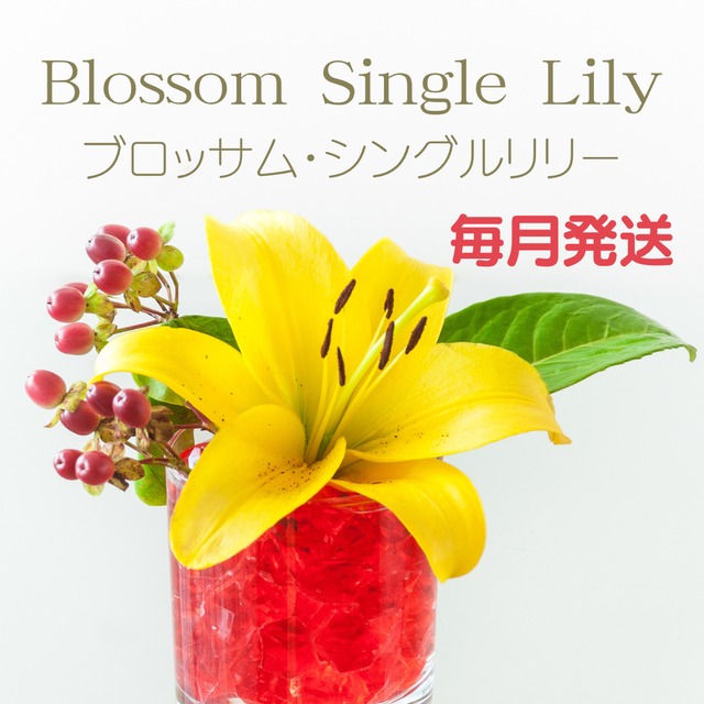 Blossom Single Lily（ブロッサム・シングルリリー）毎月発送定期便 Blossom Bazzar