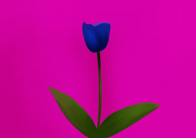 青薔薇