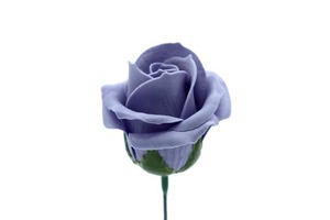 パステルバラT-BL2 チャコール　(15輪入りor25輪入り)