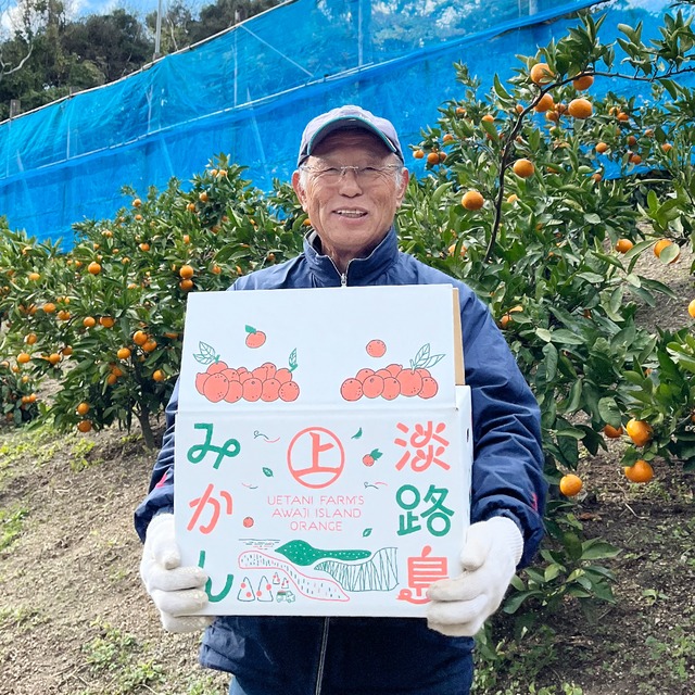 【田口早生みかん  10KG】発送中