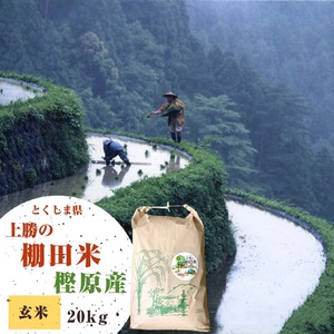 【新米】令和4年産 とくしま県上勝の棚田米<樫原>