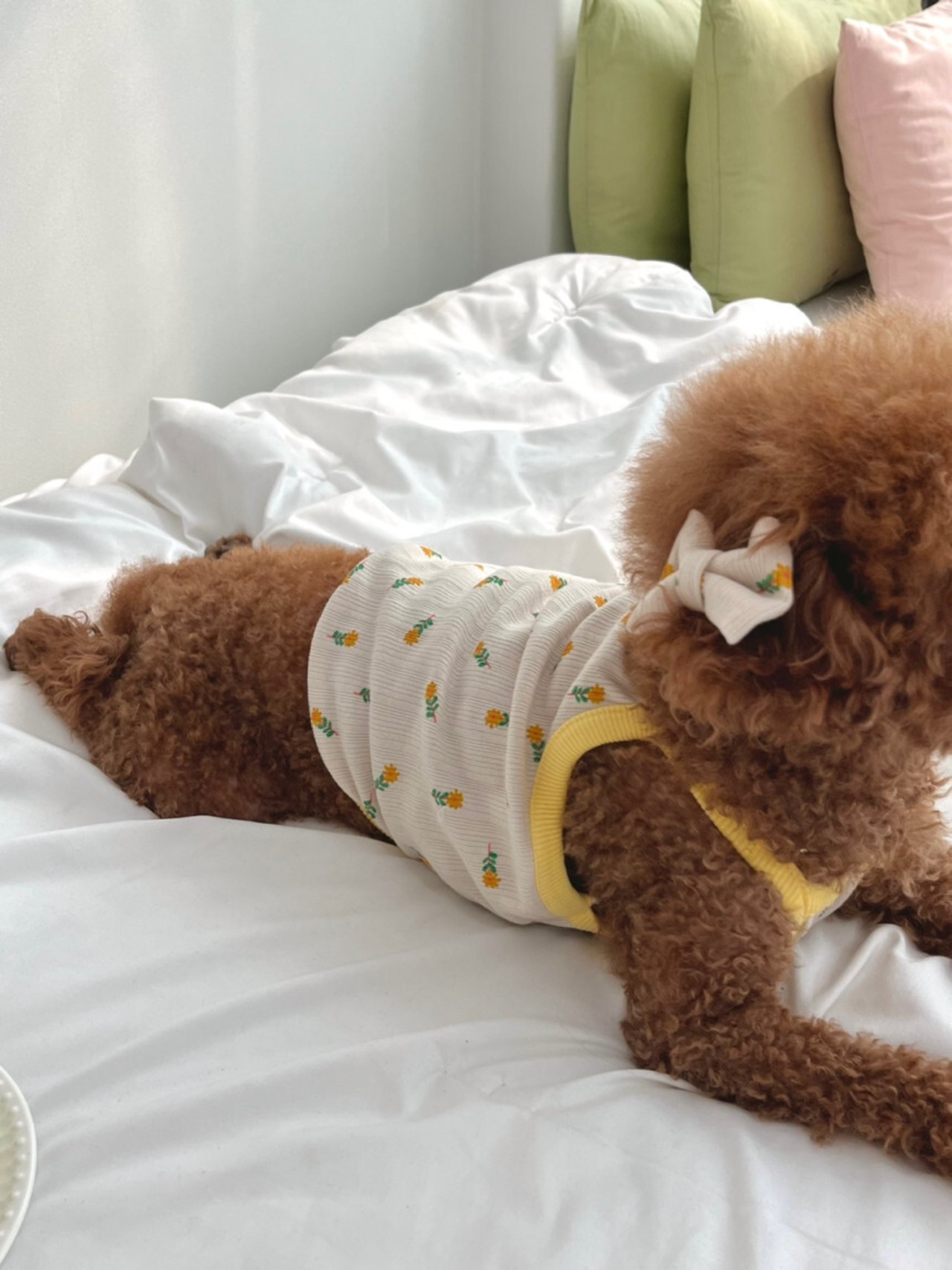 予約【pecoramou select】April crop tee