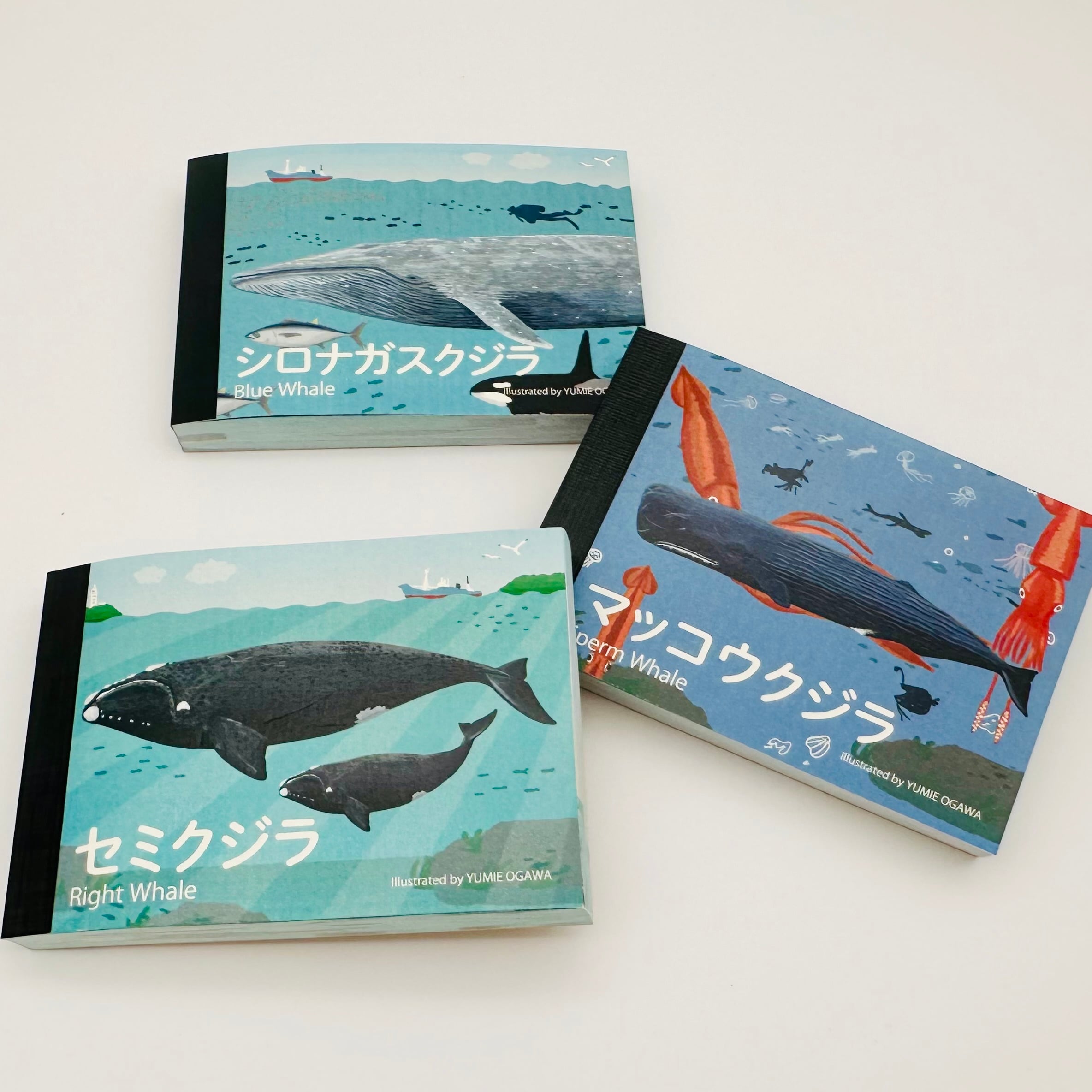 パラパラメモTube(R) 「マッコウクジラ」 | YUMIE OGAWA ONLINESHOP