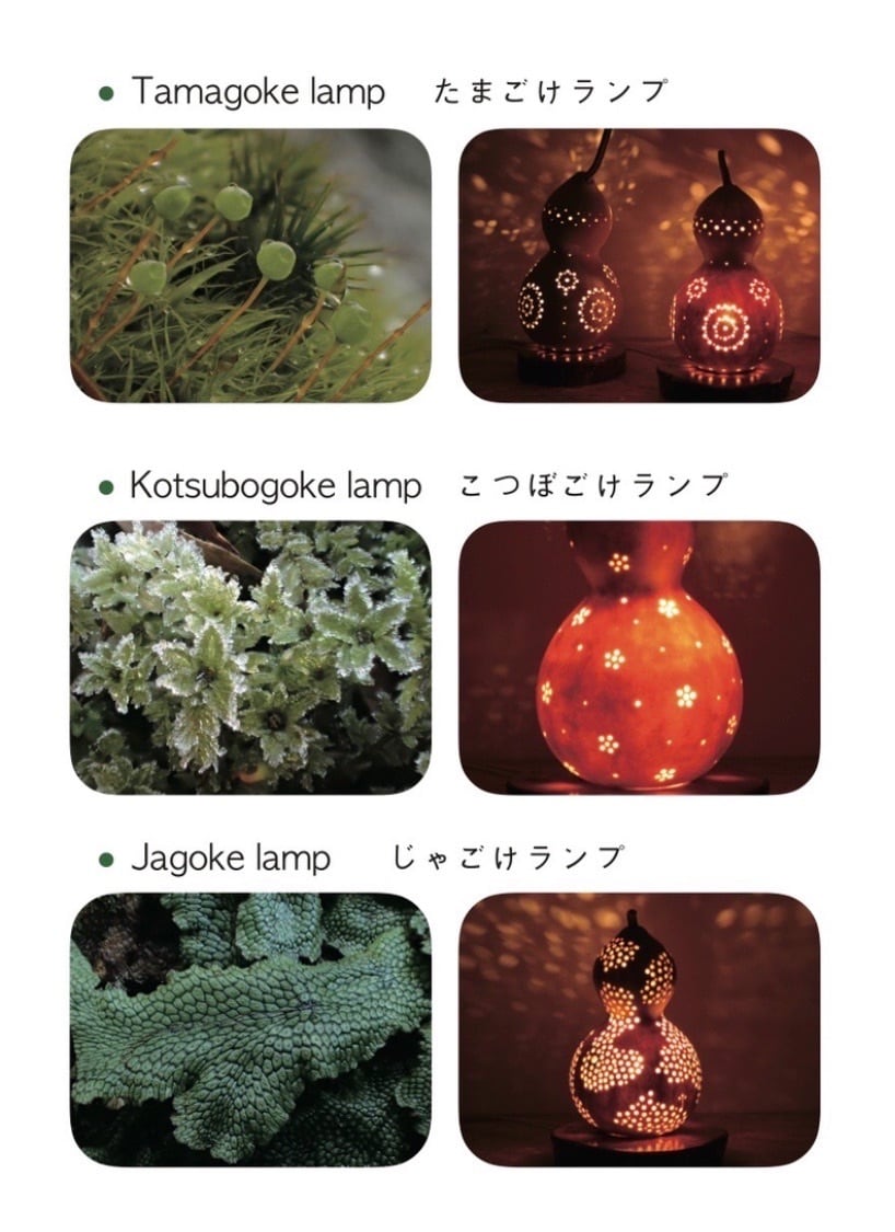 くさごけランプ29 | ひょうたんランプ専門店／奥入瀬ランプ工房