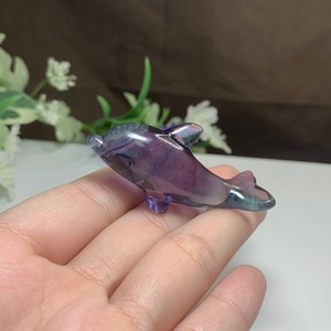 5.海のアニマル♪♪フローライトイルカ☆