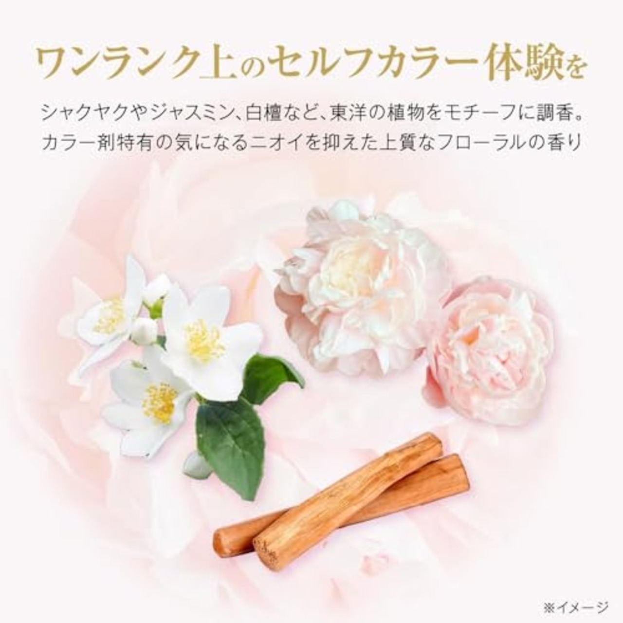 サイオス オレオクリーム 白髪染め 4N リッチショコラ [医薬部外品] 1個 (x 1)