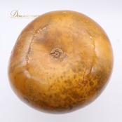 フラダンス 小物 イプ ブラウン系 ベージュ系 ひょうたん 楽器 小物 小道具 茶 黄 明るい 光沢 艶 紐 タヒチアン タヒチ 練習 レッスン 舞台 ステージ イベント 音楽 ハワイアン アロハ ダンス小物