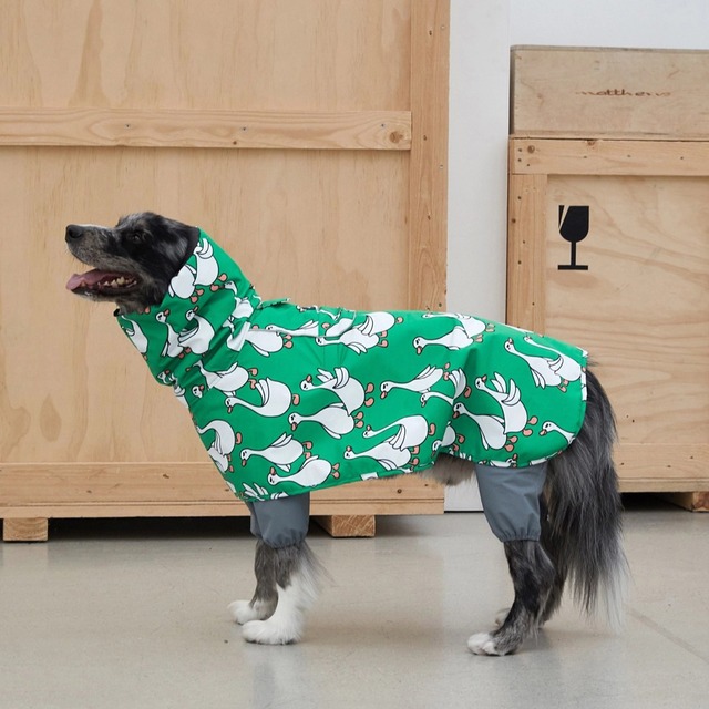 ※即納・予約【 andblnk】フライングダックレインコートジャケット　M～6XL