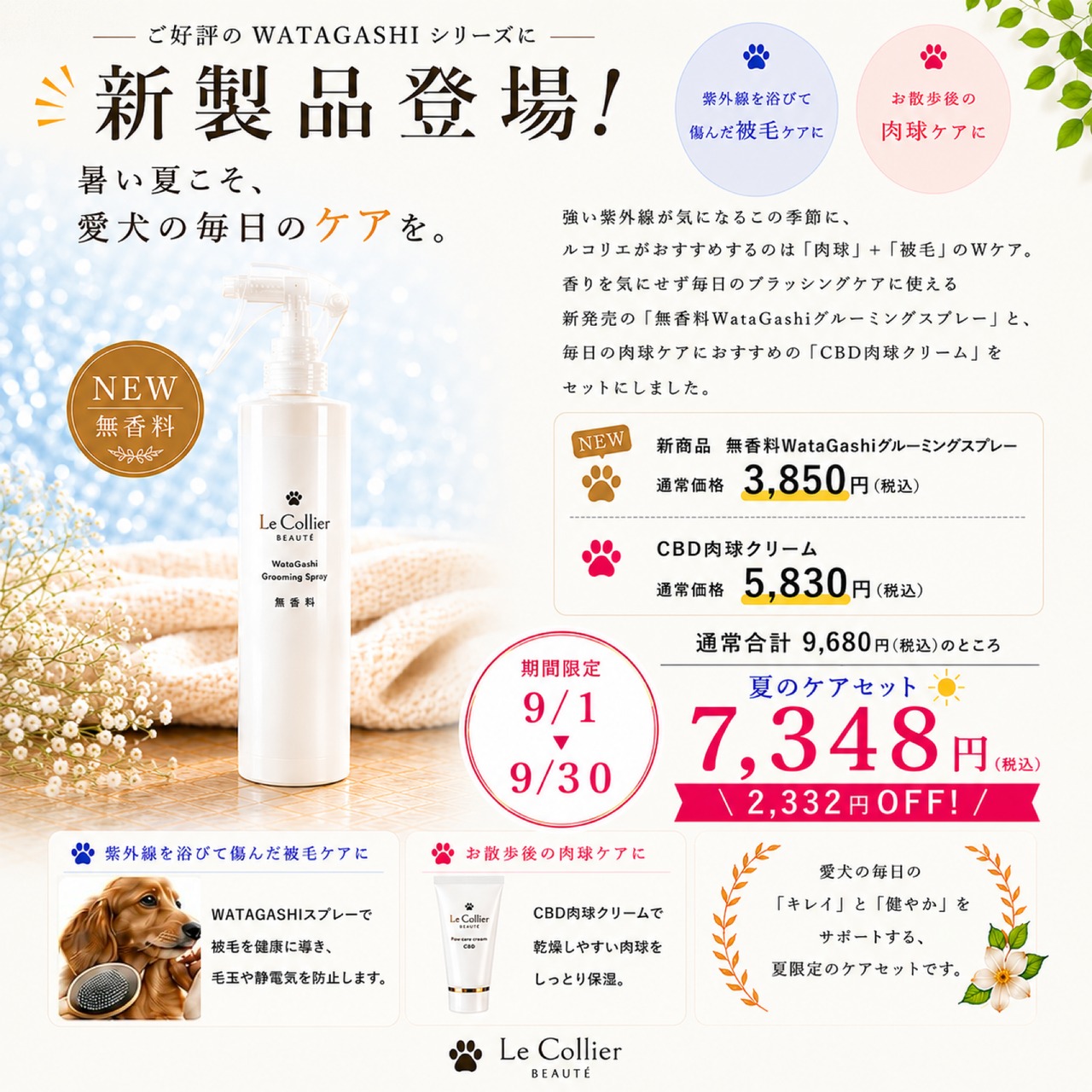 夏のケアセット