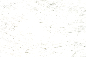 スピリットレイキ