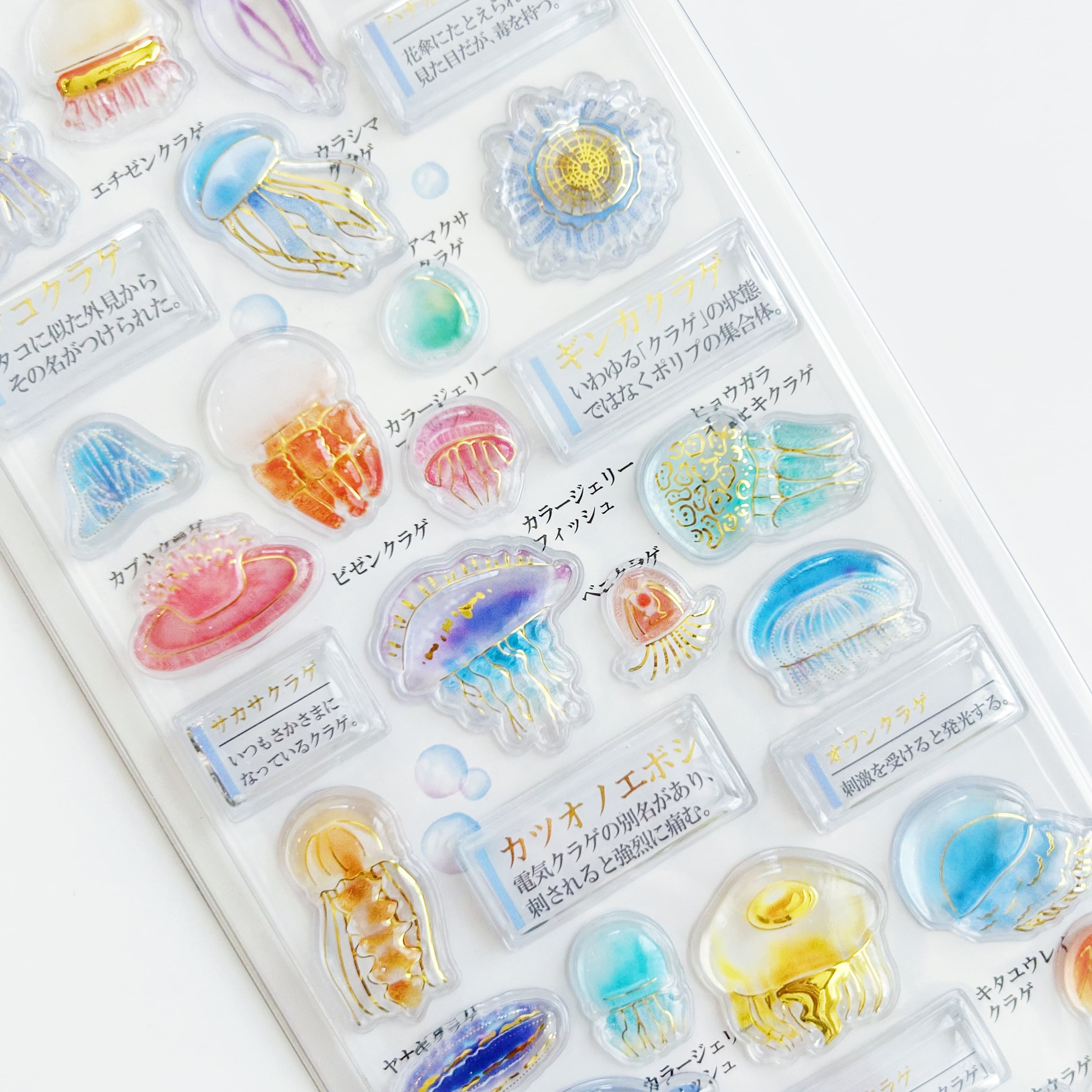 3D 大人の図鑑シール | momo shop