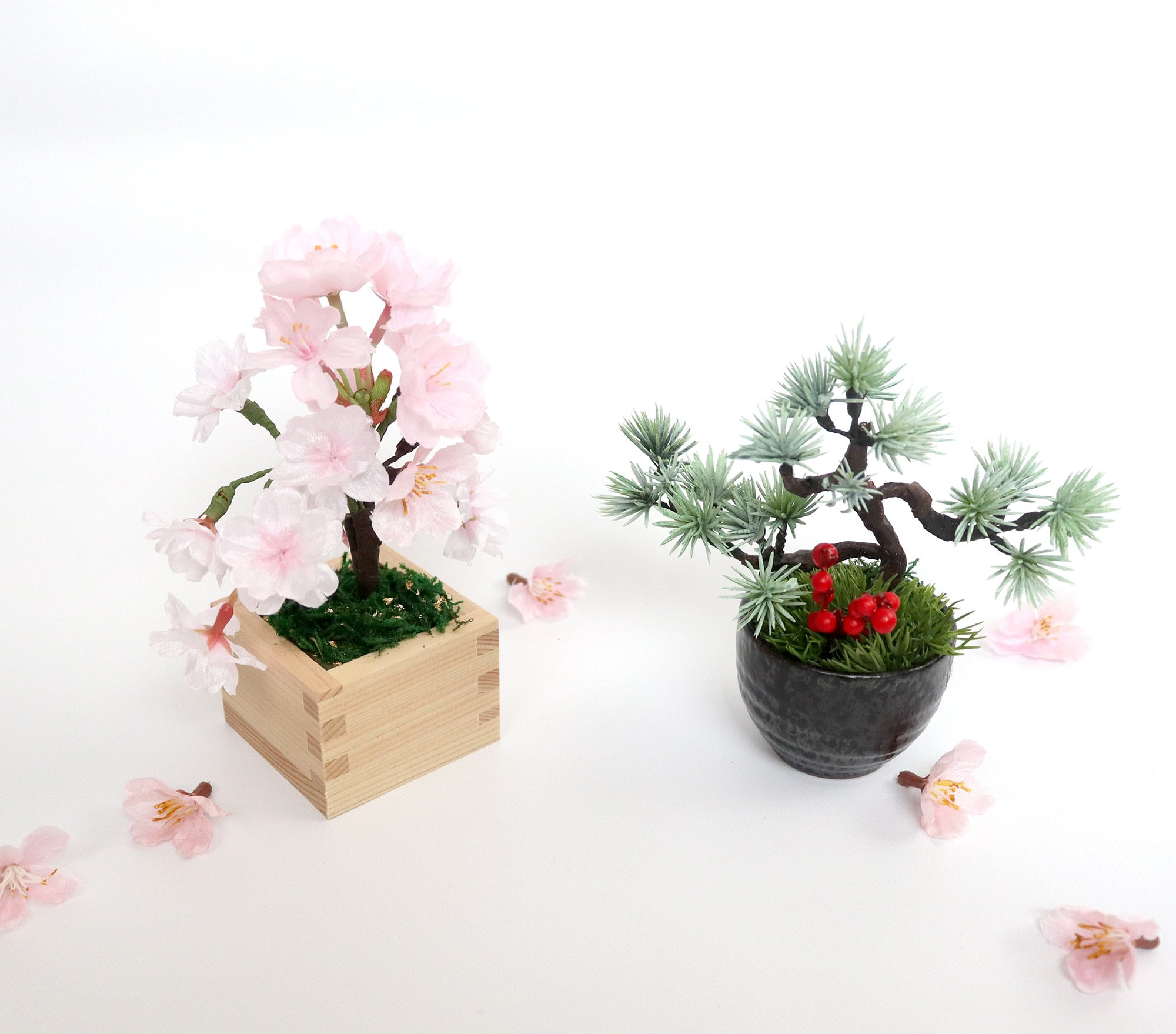 枡入り桜＜ミニ盆栽＞雅・MIYABI | hanaル・ブラン 神戸からお届けします。