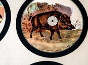 1930s animal Shooting Target