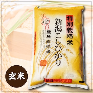 有機低農薬コシヒカリ　玄米5kg（令和5年産）　