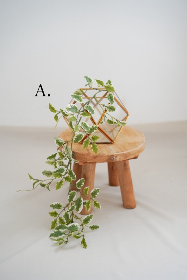 〈予約アイテム〉drops styling set / soft wood no.5