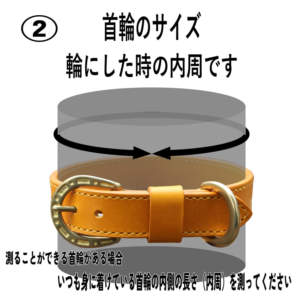 中型犬・大型犬首輪 シルバーコンチョLIDS名前刻印あり 24mm幅直線 33